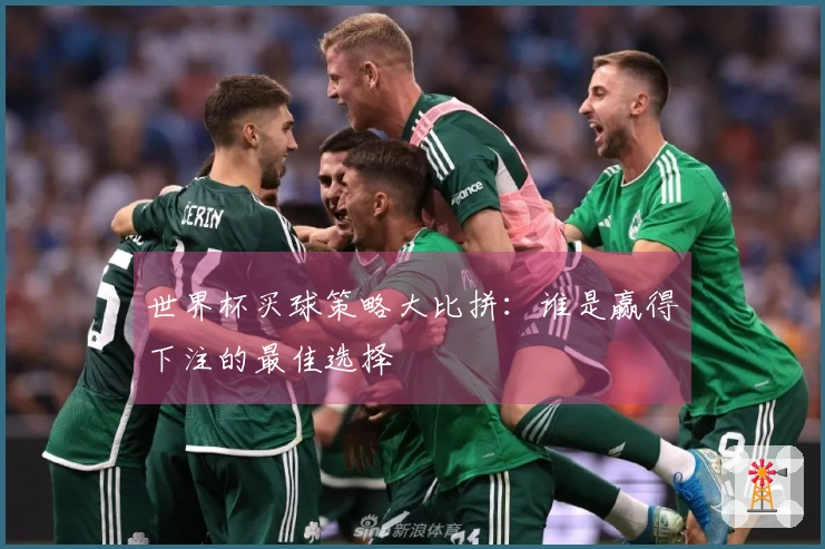 世界杯买球策略大比拼：谁是赢得下注的最佳选择