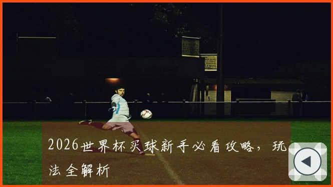 2026世界杯买球新手必看攻略，玩法全解析