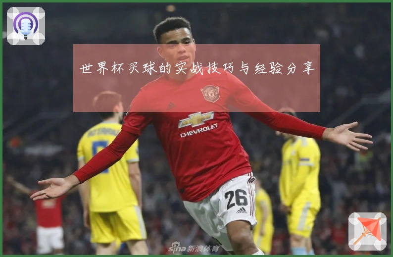 世界杯买球的实战技巧与经验分享