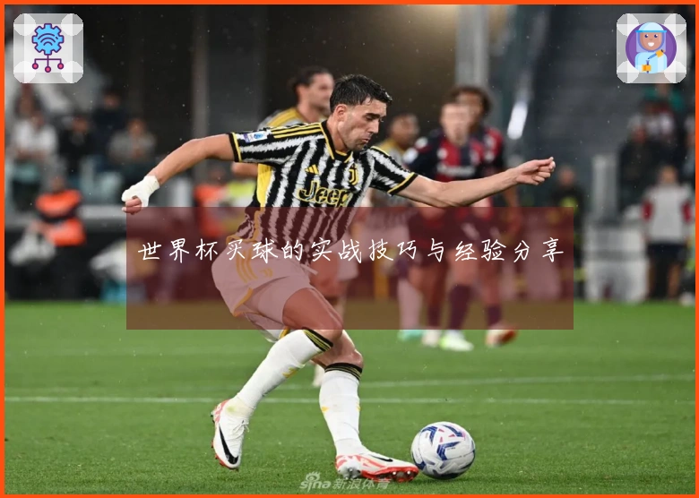 世界杯买球的实战技巧与经验分享
