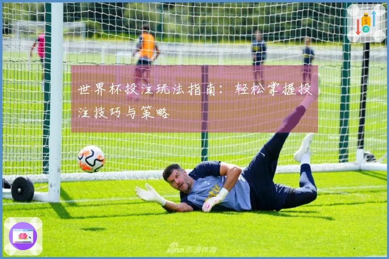世界杯投注玩法指南：轻松掌握投注技巧与策略