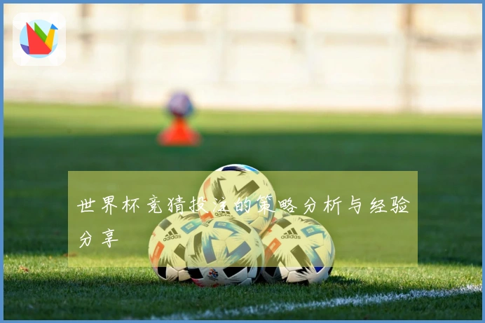 世界杯竞猜投注的策略分析与经验分享