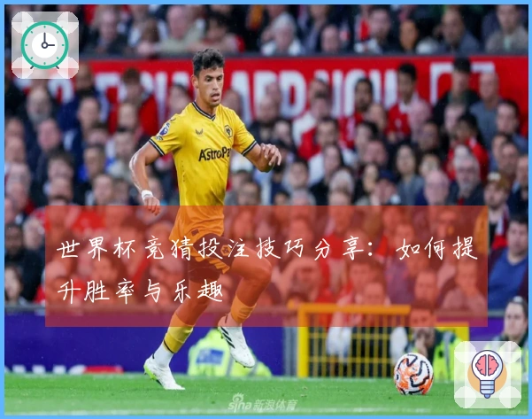 世界杯竞猜投注技巧分享：如何提升胜率与乐趣