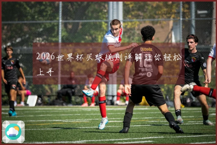 2026世界杯买球规则详解让你轻松上手