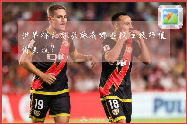 世界杯让球买球有哪些投注技巧值得关注？