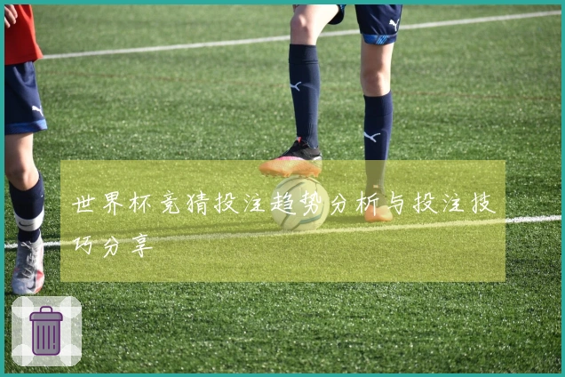 世界杯竞猜投注趋势分析与投注技巧分享