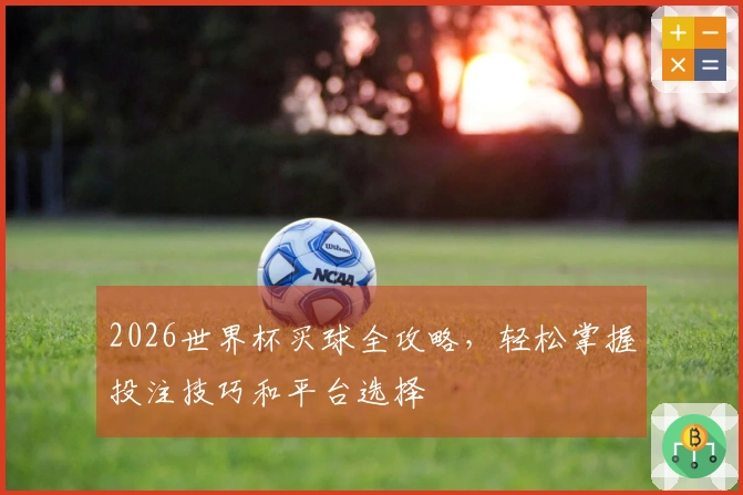 2026世界杯买球全攻略，轻松掌握投注技巧和平台选择