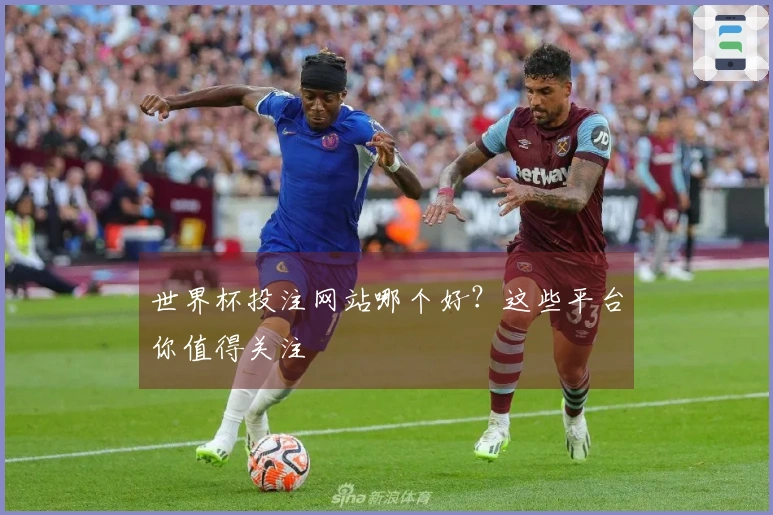 世界杯投注网站哪个好？这些平台你值得关注