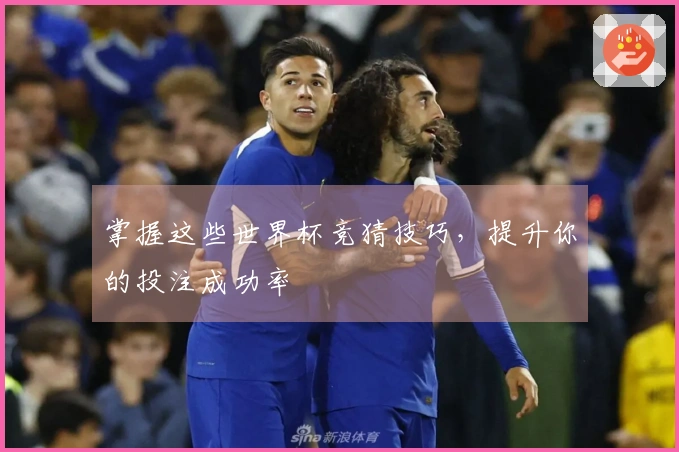 掌握这些世界杯竞猜技巧，提升你的投注成功率