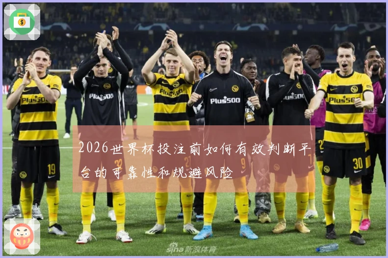 2026世界杯投注前如何有效判断平台的可靠性和规避风险